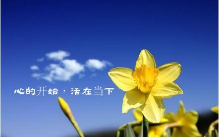 QQ截圖20160427200506