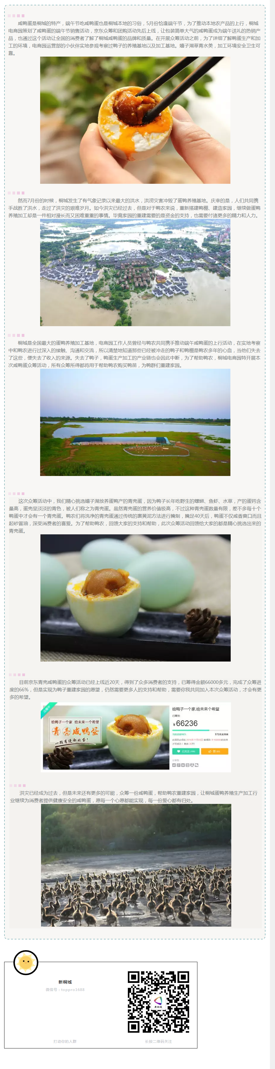 給鴨子一個家，給未來一個希望