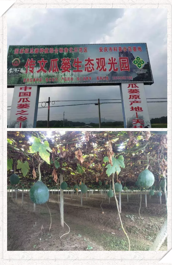 1508811702 1508811702